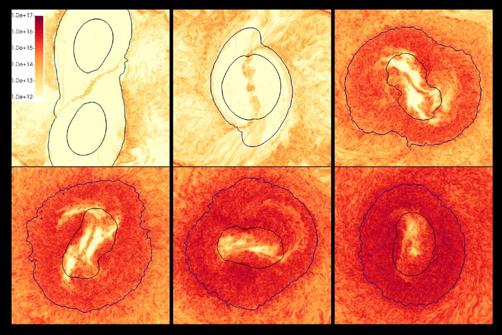 Merger of neutron stars. Snapshots at representative times displaying the magnetic field strength in Gauss, together with density isosurfaces representing the core and the envelope of the star. The amplification is driven mainly by the Kelvin-Helmholtz instability, that induces a turbulent stage which is accurately captured by using Large-Eddy Simulations with high resolution.
