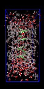 The simulation box of Gramicidin A channel (@ GRS – P. Carloni, E. Ippoliti, J. Dreyer & C. Zhang)