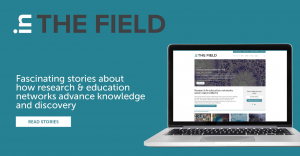 In the Field blog banner