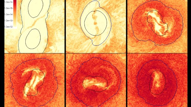 Merger of neutron stars. Snapshots at representative times displaying the magnetic field strength in Gauss, together with density isosurfaces representing the core and the envelope of the star. The amplification is driven mainly by the Kelvin-Helmholtz instability, that induces a turbulent stage which is accurately captured by using Large-Eddy Simulations with high resolution.