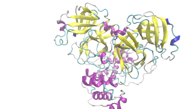 Structure SARS-Cov2