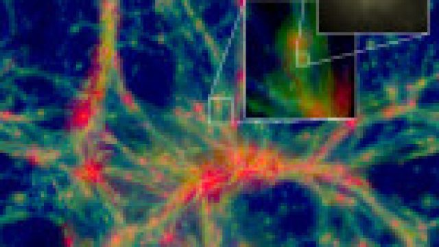 Simulated universe. Credit: EAGLE collaboration, J Schaye et al 2015. MNRAS, CC BY-SA