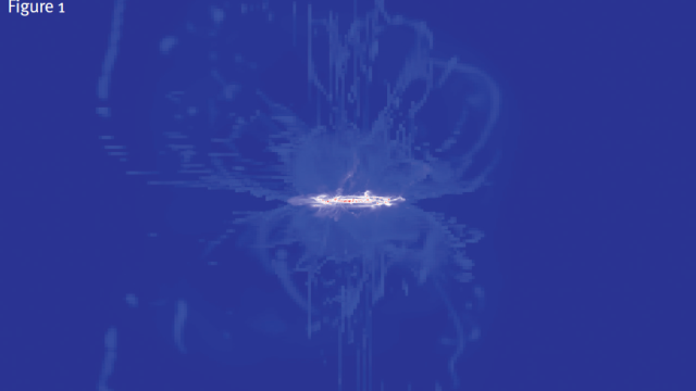 This visualisation is a zoom, where only the disk and the stellar outflows are visible.