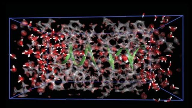 The simulation box of Gramicidin A channel (@ GRS – P. Carloni, E. Ippoliti, J. Dreyer & C. Zhang)