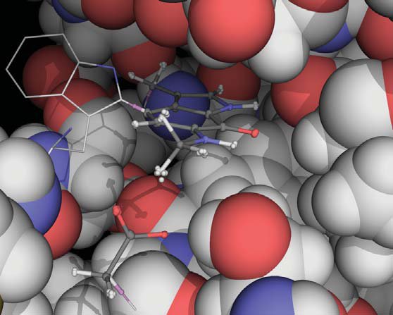 In the active site, the path integral method shows how individual atoms are modelled by clusters of beads, indicating that light atoms like hydrogen have larger quantum spreads