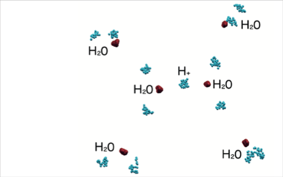 The image is the protonated water hexamer where ions are quantum. In Casula’s framework, the ions are no longer point-like particles as in standard mechanics, but are described by a “cluster”, also called a ring polymer, thanks to the quantum- to-classical isomorphism. Oxygens are in red, hydrogens in blue.