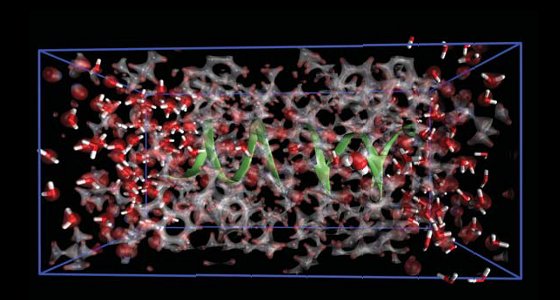 The simulation box of Gramicidin A channel (@ GRS – P. Carloni, E. Ippoliti, J. Dreyer & C. Zhang)